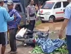 Laka Lantas di Probolinggo: Kepala Dilindas Pick Up, Pelaku Melarikan Diri