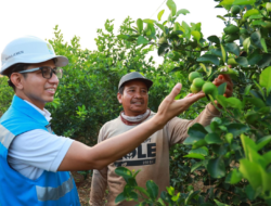 Pemanfaatan Listrik di Sawah Kurangi Biaya Operasional Petani Nganjuk Hingga 81%