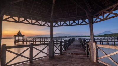 Selain Jembatan Kayu yang Khas, Pantai Bentar Juga Tawarkan Pemandangan Hiu Tutul