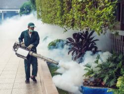 Lakukan Fogging ke Rumah Warga, Cara Dinkes Probolinggo Atasi Kasus DBD