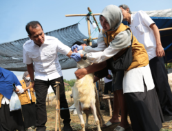 Hewan Kurban Sakit Mata, Pemkot Probolinggo Lakukan Sidak ke Sejumlah Lokasi