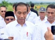 Jokowi Sebut IKN Dongkrak Pertumbuhan Ekonomi