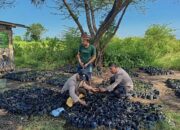 Polres Ajak Warga Tanam Mangrove Untuk Tingkatkan Perekonomian di Probolinggo