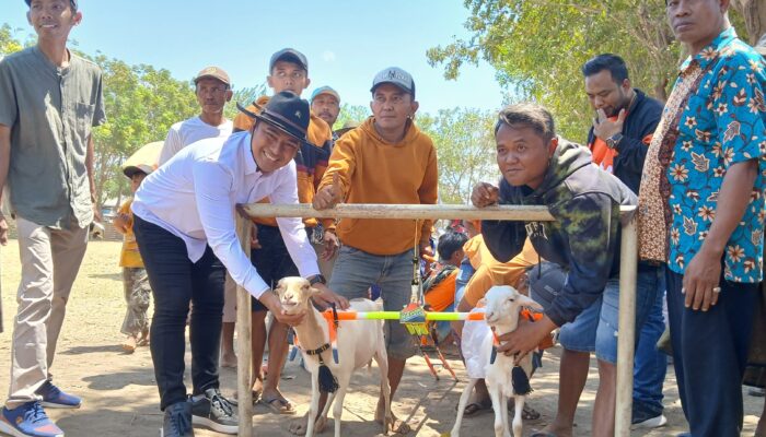 Warga Probolinggo Adakan Karapan Kambing, Zainal Arifin: Jaga Silaturahmi