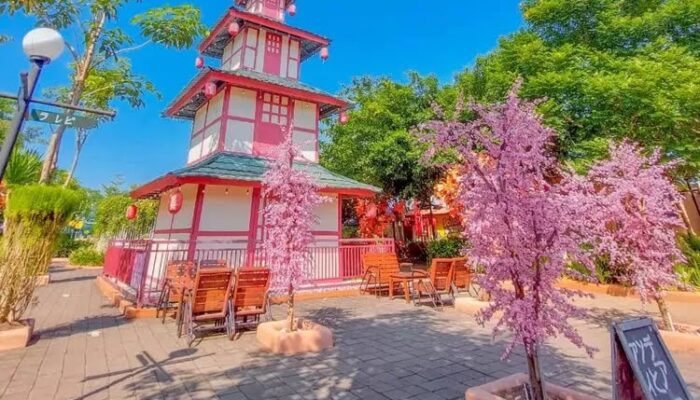 Kampung Jepang Jember, Destinasi Wisata Unik dengan Nuansa Bunga Sakura